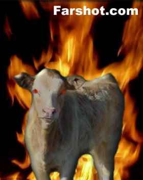 Fear the Bovine!