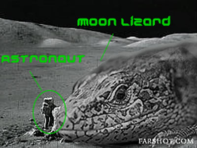 Moon Lzards love cheese